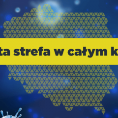 Koronawirus: Wrocław w żółtej strefie!